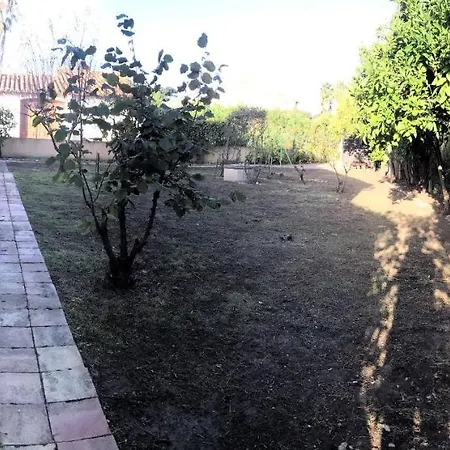 La Maison Des Alberes